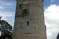IMG_09471-scaled
